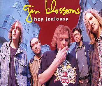 Download New Miserable Experience Gin Blossoms Rar